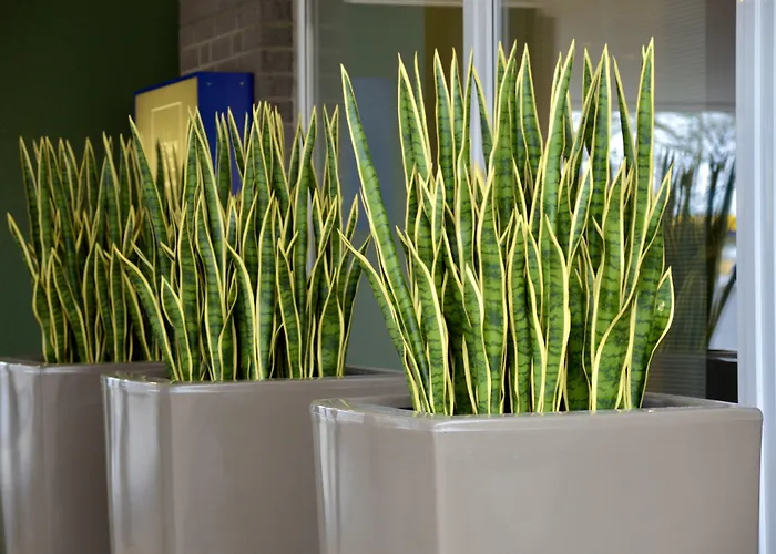 Median Messe Hannover